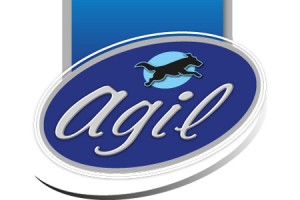 Agil