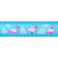 Obojek RD 25 mm x 41-63 cm - Flamingo Turquoise