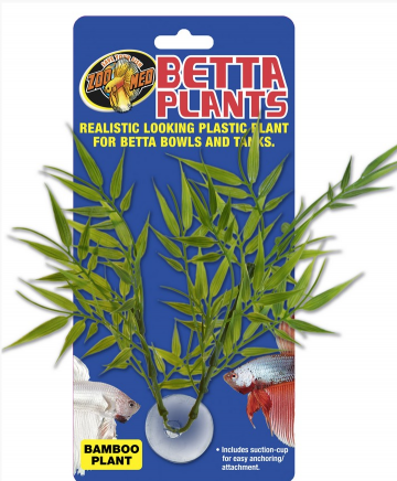 Rostl.akv.ZMD Betta Plant  Bambus