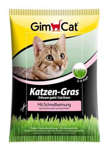 GimCat Katzen-Gras kočičí tráva 100g