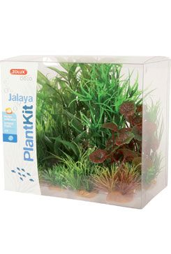 Rostliny akvarijní JALAYA 2 sada Zolux Rostliny akvarijní JALAYA 2 sada Zolux