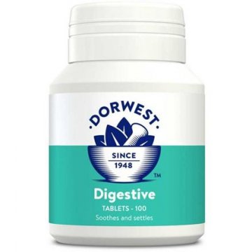 Dorwest - Tablety na zažívání - 100 tbl Dorwest - Tablety na zažívání - 100 tbl