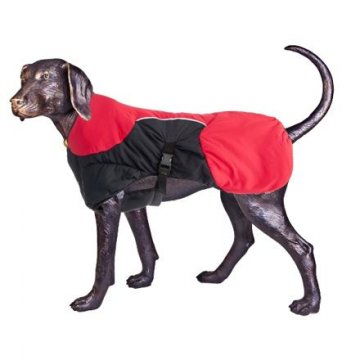 Puff-Doggy - zateplená bunda - Red/Blk - Petite 2 Puff-Doggy - zateplená bunda - Red/Blk - Petite 2