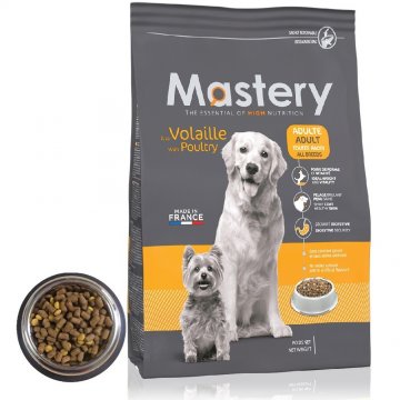 Mastery DOG Ad. with Poultry 12kg
