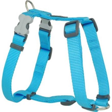 Postroj RD 12 mm x 30-44 cm - Jednobar.- Tyrkysová Postroj RD 12 mm x 30-44 cm - Jednobar.- Tyrkysová