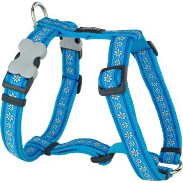 Postroj RD 15 mm x 36-54 cm- Daisy Chain Turquoise Postroj RD 15 mm x 36-54 cm- Daisy Chain Turquoise