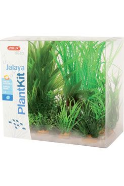 Rostliny akvarijní JALAYA 1 sada Zolux Rostliny akvarijní JALAYA 1 sada Zolux