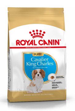 Royal Canin Breed Kavalír King Charles Junior…