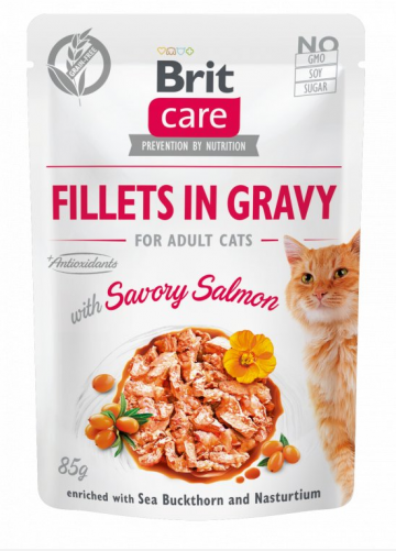 Brit Care Cat Fillets in Gravy with Savory Salmon 85g Brit Care Cat Fillets in Gravy with Savory Salmon 85g