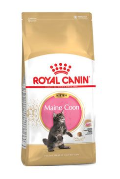 Royal Canin Breed Feline Kitten Maine Coon 10kg Royal Canin Breed Feline Kitten Maine Coon 10kg