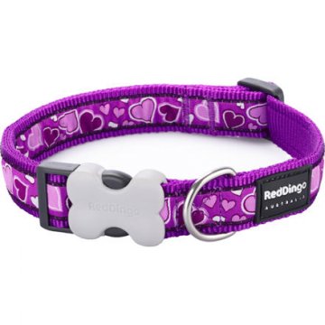Obojek RD 20 mm x 30-47 cm - Breezy Love Purple Obojek RD 20 mm x 30-47 cm - Breezy Love Purple
