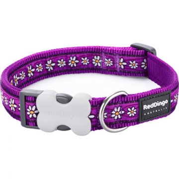 Obojek RD 20 mm x 30-47 cm - Daisy Chain Purple Obojek RD 20 mm x 30-47 cm - Daisy Chain Purple
