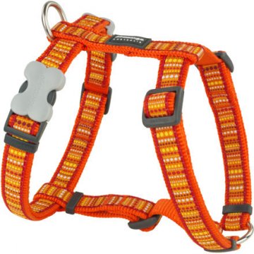 Postroj RD 20 mm x 45-66 cm - Lotzadotz Orange Postroj RD 20 mm x 45-66 cm - Lotzadotz Orange