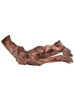 Akvarijní/terarijní kořen Mangrove S 480g Zolux Akvarijní/terarijní kořen Mangrove S 480g Zolux