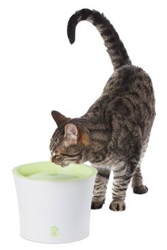 Fontána CATIT plast velká NEW 3l Fontána CATIT plast velká NEW 3l