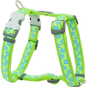 Postroj RD 25 mm x 71-113 cm - Stars Turquoise Postroj RD 25 mm x 71-113 cm - Stars Turquoise