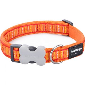 Obojek RD 25 mm x 41-63 cm - Lotzadotz Orange Obojek RD 25 mm x 41-63 cm - Lotzadotz Orange