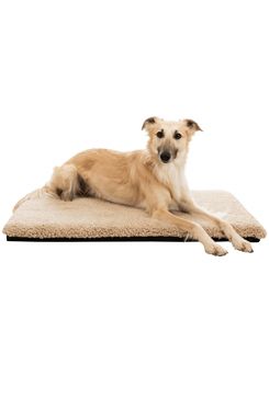 Podložka pro psy Vital Bendson 80x55cm sv.šedá TR Podložka pro psy Vital Bendson 80x55cm sv.šedá TR