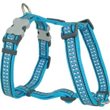 Postroj RD 12 mm x 30-44 cm - Bones Rfx- Tyrkysová Postroj RD 12 mm x 30-44 cm - Bones Rfx- Tyrkysová