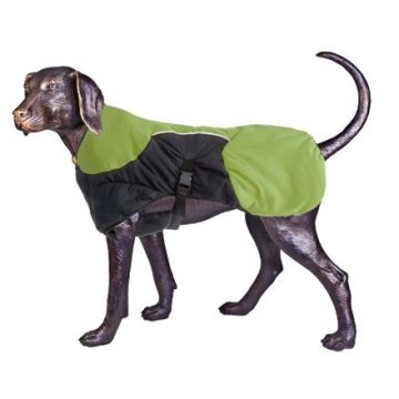 Puff-Doggy - zateplená bunda - Lime/Blk - Petite 2 Puff-Doggy - zateplená bunda - Lime/Blk - Petite 2